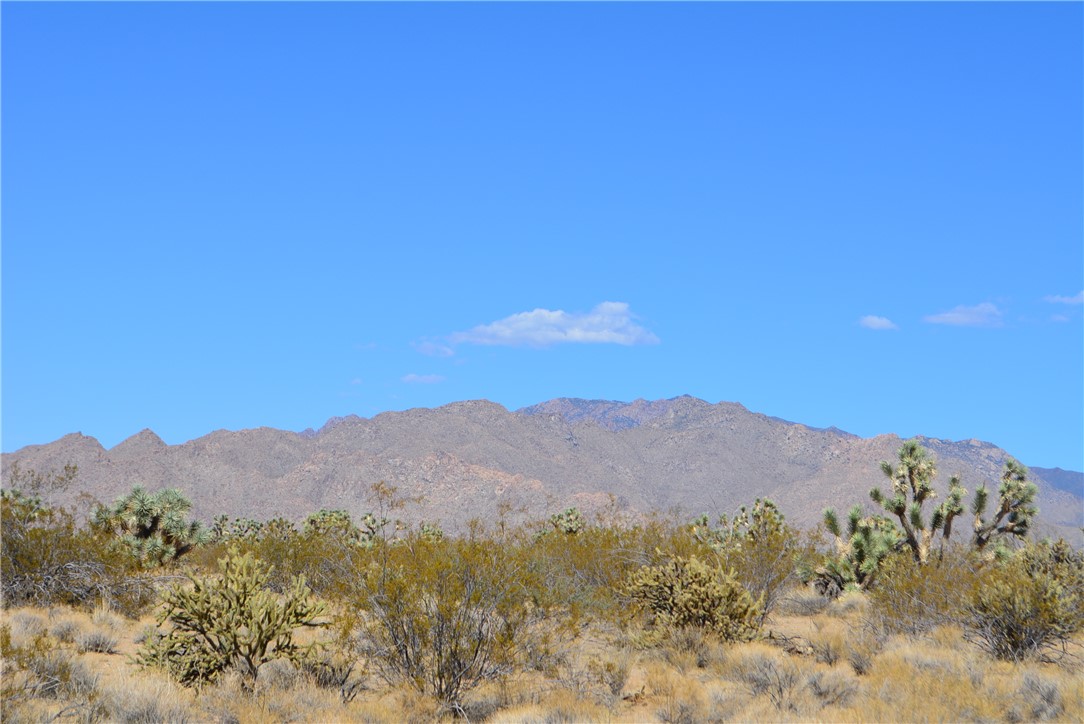 Lot 3 Bush Road Yucca, AZ 86438 - Photo 20 of 82 View