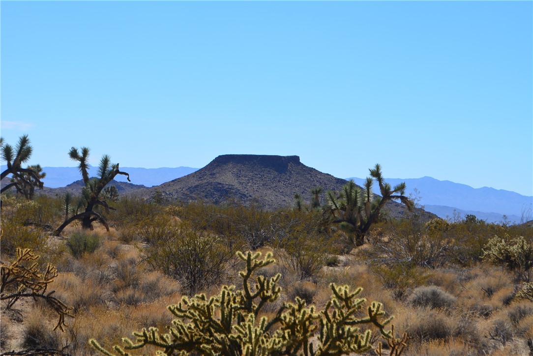 Lot 3 Bush Road Yucca, AZ 86438 - Photo 2 of 82 View