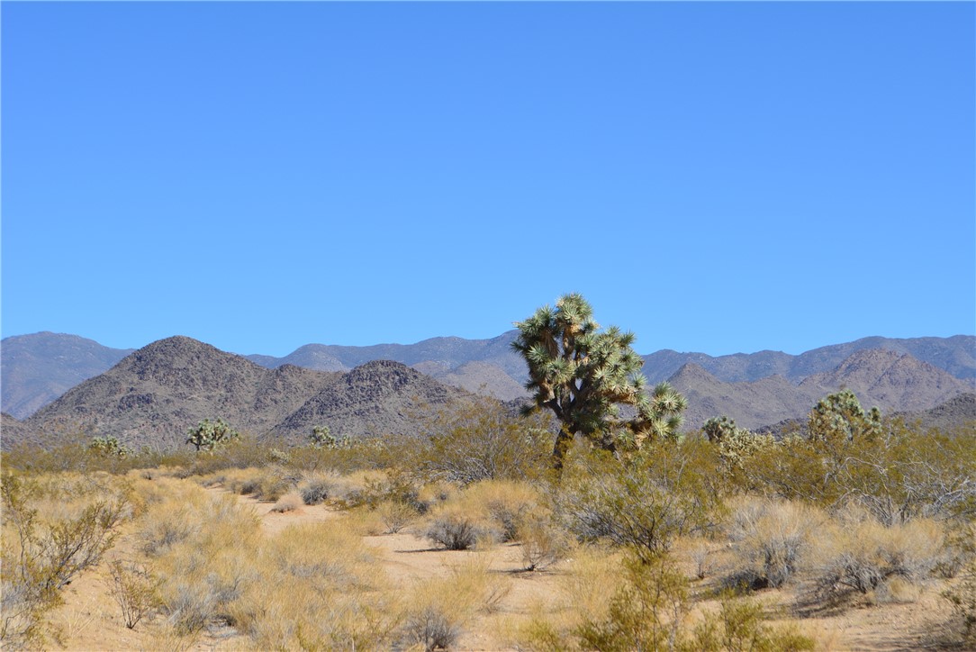 Lot 3 Bush Road Yucca, AZ 86438 - Photo 24 of 82 View