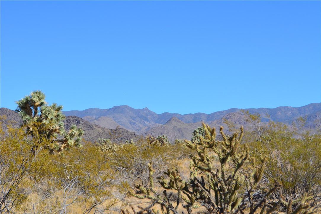 Lot 3 Bush Road Yucca, AZ 86438 - Photo 25 of 82 View