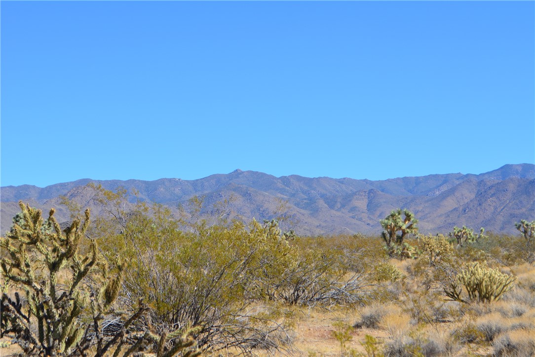 Lot 3 Bush Road Yucca, AZ 86438 - Photo 26 of 82 View