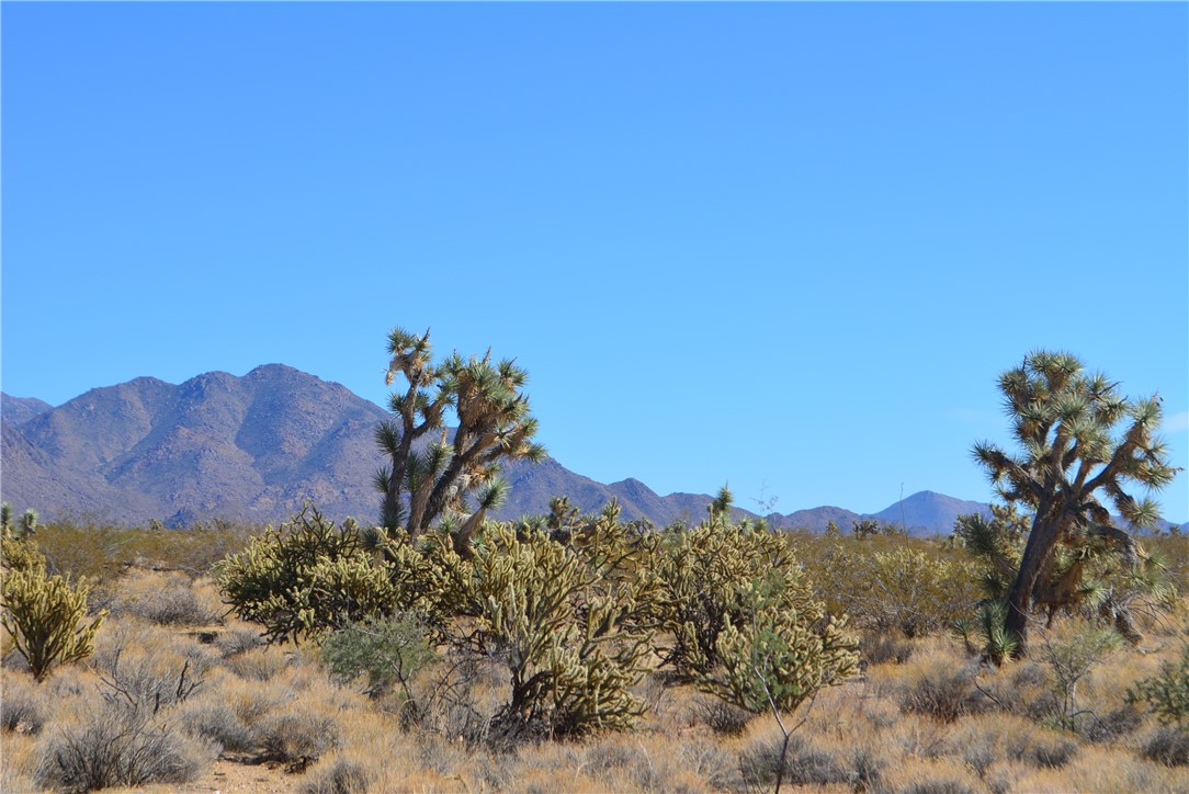 Lot 3 Bush Road Yucca, AZ 86438 - Photo 28 of 82 View