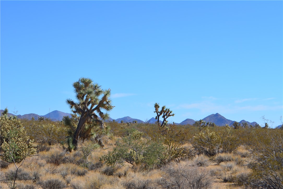 Lot 3 Bush Road Yucca, AZ 86438 - Photo 29 of 82 View