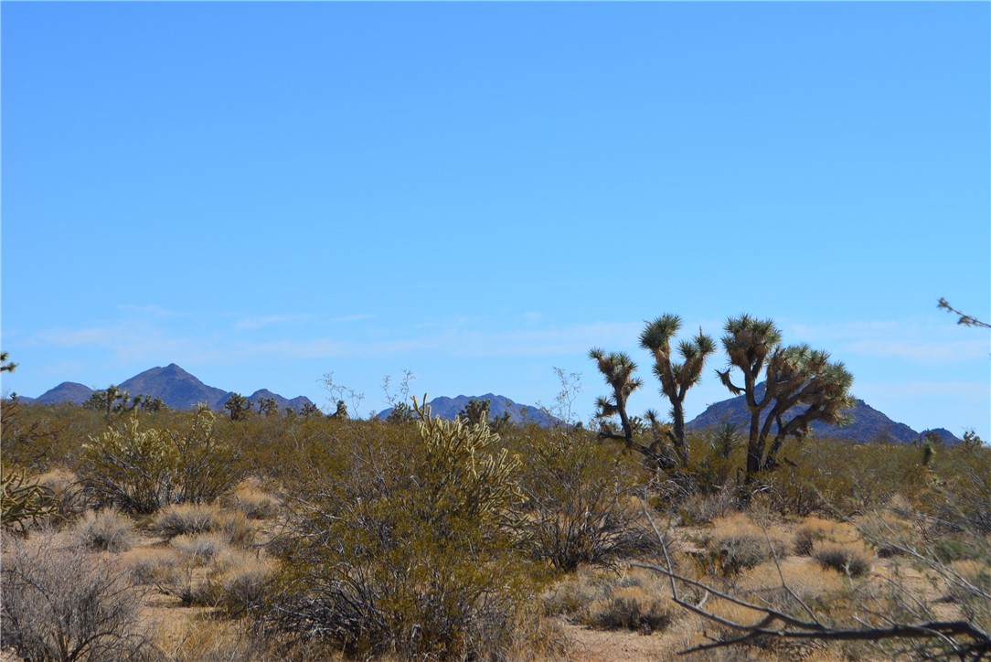 Lot 3 Bush Road Yucca, AZ 86438 - Photo 30 of 82 View