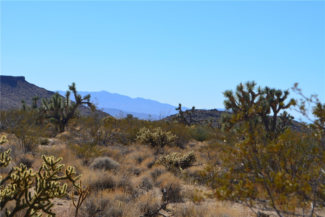 Lot 3 Bush Road Yucca, AZ 86438 - Photo 3 of 82 View