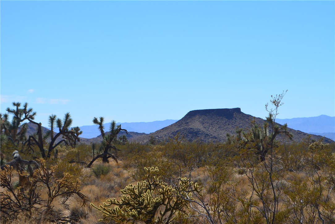 Lot 3 Bush Road Yucca, AZ 86438 - Photo 31 of 82 View