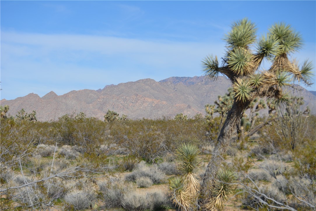 Lot 3 Bush Road Yucca, AZ 86438 - Photo 40 of 82 View of mountain background