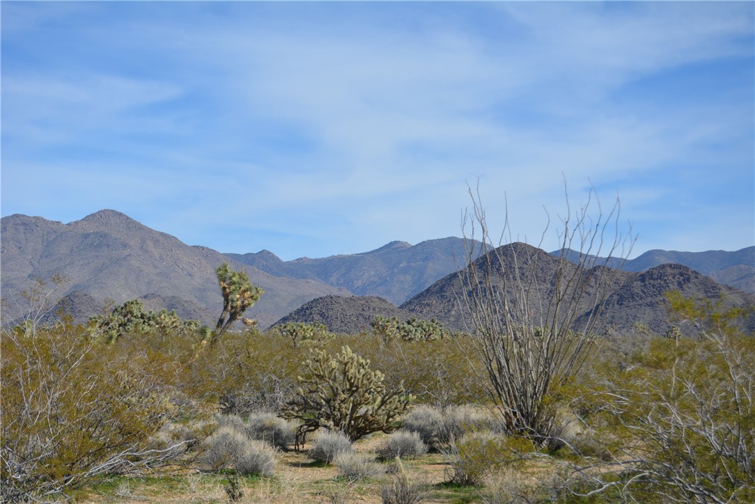 Lot 3 Bush Road Yucca, AZ 86438 - Photo 41 of 82 View of mountain background