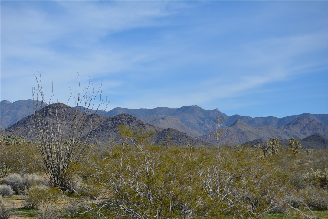 Lot 3 Bush Road Yucca, AZ 86438 - Photo 42 of 82 View of mountain backdrop