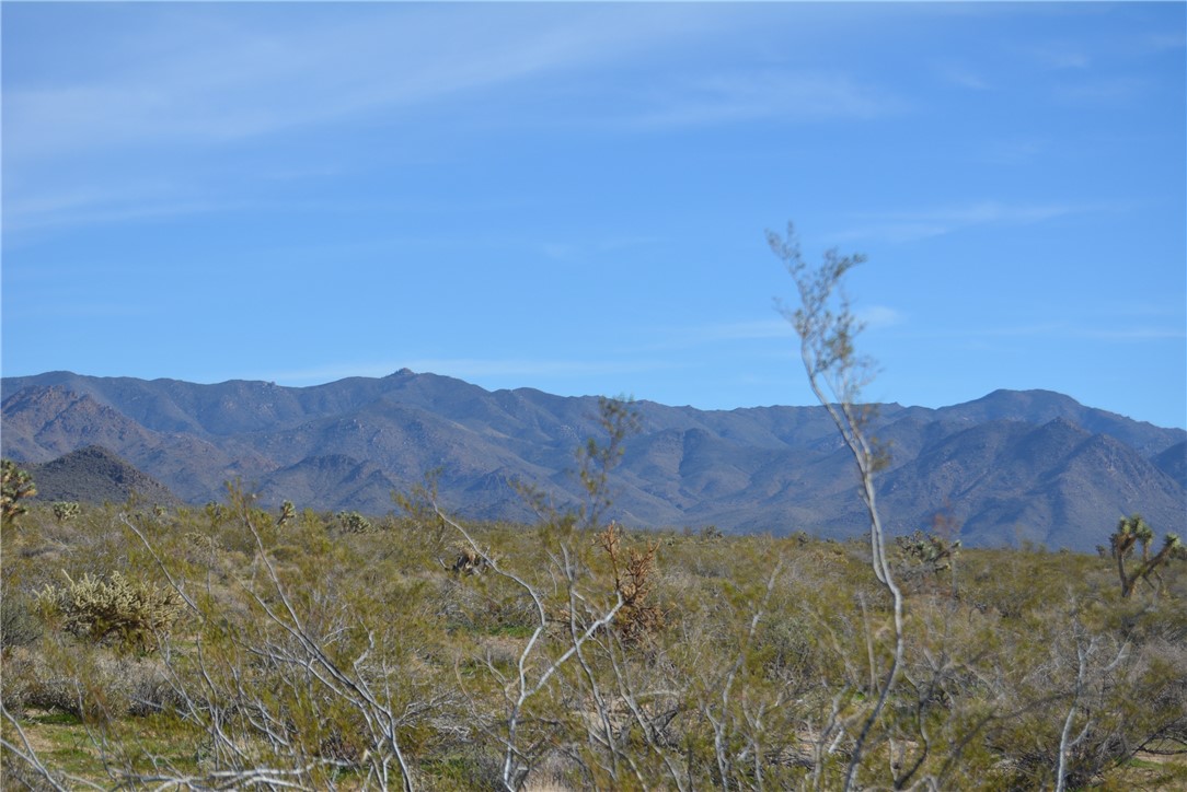 Lot 3 Bush Road Yucca, AZ 86438 - Photo 44 of 82 View of mountain backdrop