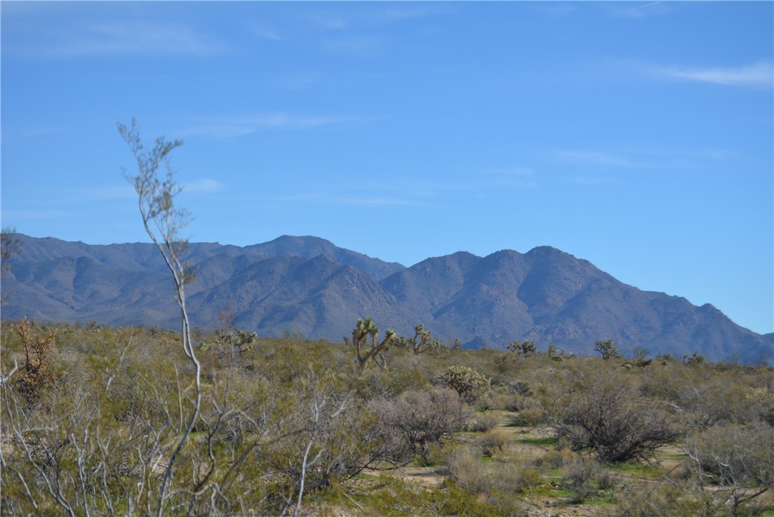 Lot 3 Bush Road Yucca, AZ 86438 - Photo 45 of 82 View of mountain background