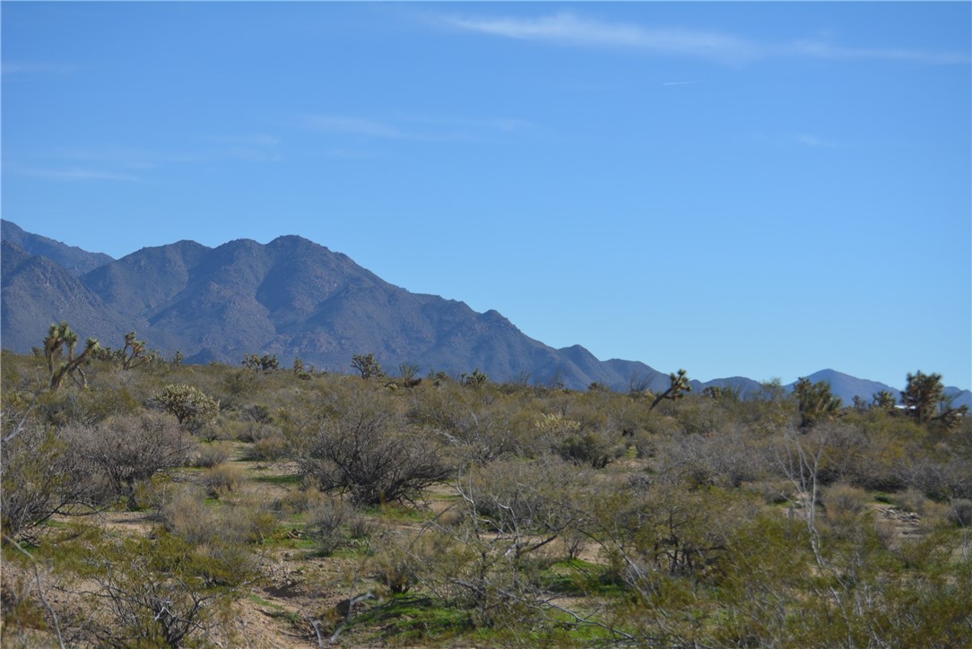 Lot 3 Bush Road Yucca, AZ 86438 - Photo 46 of 82 View of mountain background