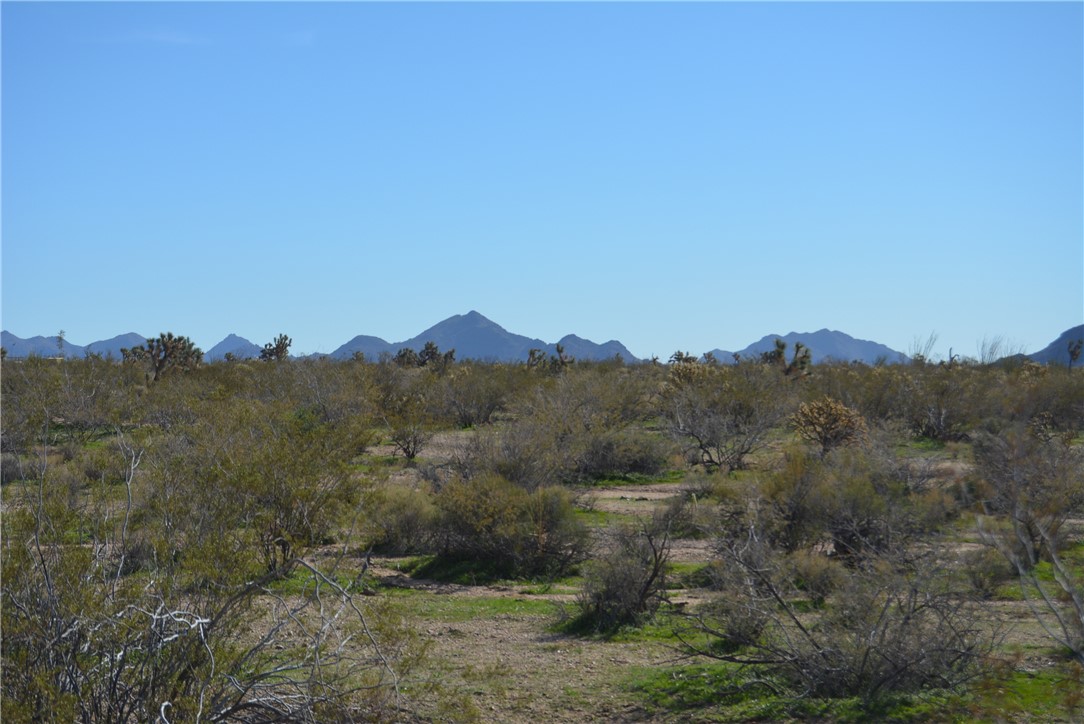Lot 3 Bush Road Yucca, AZ 86438 - Photo 47 of 82 View of mountain background