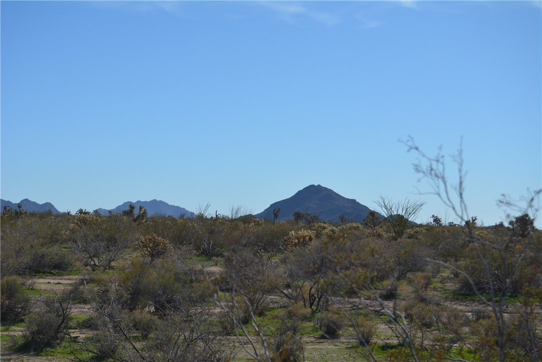 Lot 3 Bush Road Yucca, AZ 86438 - Photo 48 of 82 View of mountain background