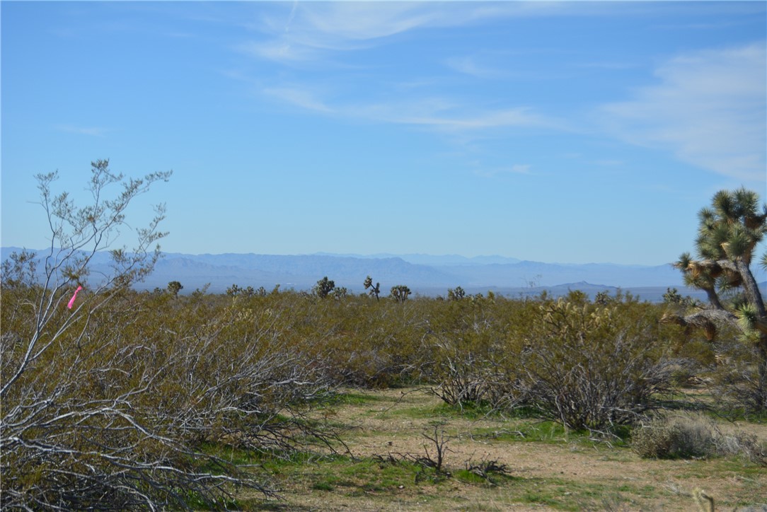 Lot 3 Bush Road Yucca, AZ 86438 - Photo 53 of 82 Mountain view