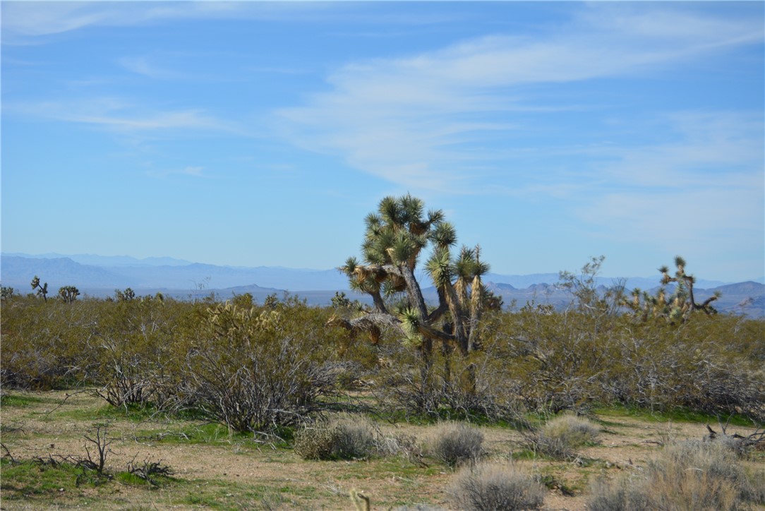 Lot 3 Bush Road Yucca, AZ 86438 - Photo 54 of 82 Mountain view