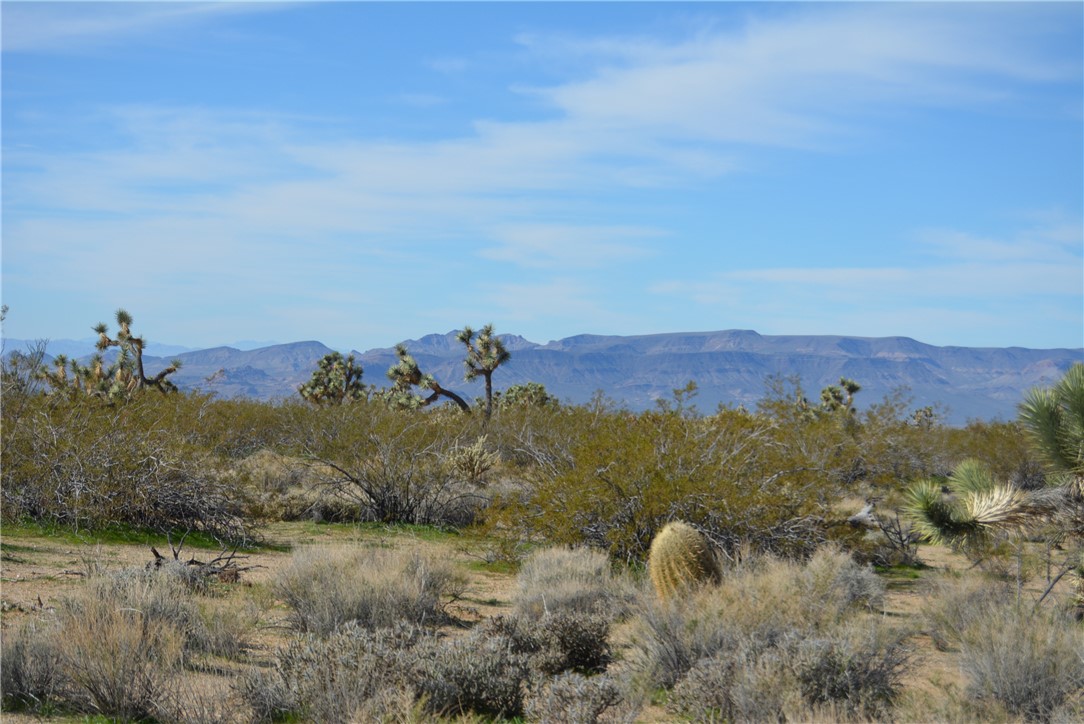 Lot 3 Bush Road Yucca, AZ 86438 - Photo 56 of 82 View of mountain backdrop