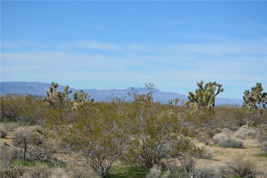 Lot 3 Bush Road Yucca, AZ 86438 - Photo 59 of 82 Mountain view