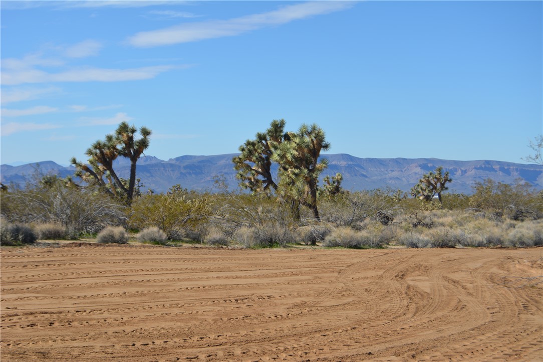 Lot 3 Bush Road Yucca, AZ 86438 - Photo 6 of 82 View