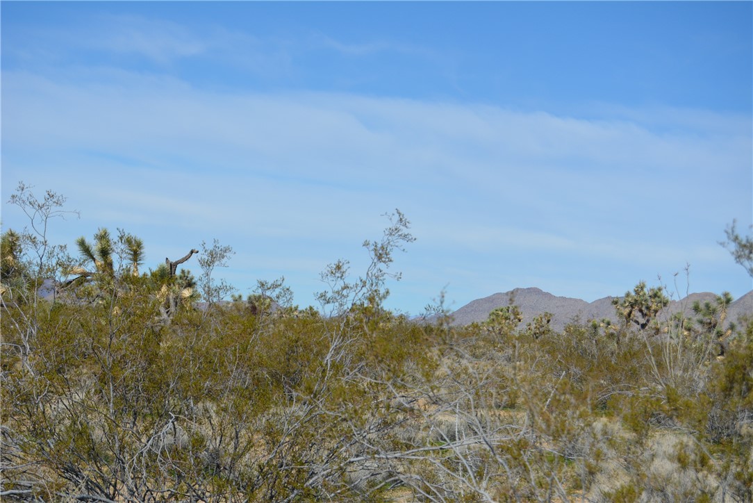 Lot 3 Bush Road Yucca, AZ 86438 - Photo 61 of 82 View of mountain background featuring a heavily wooded area