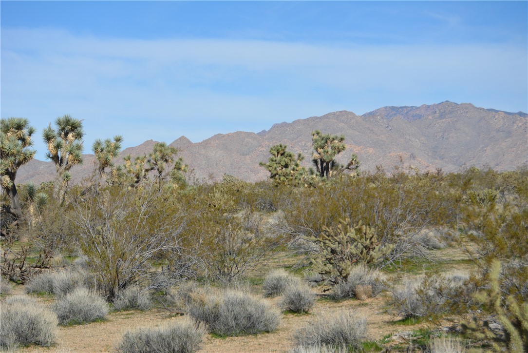 Lot 3 Bush Road Yucca, AZ 86438 - Photo 63 of 82 View of mountain background