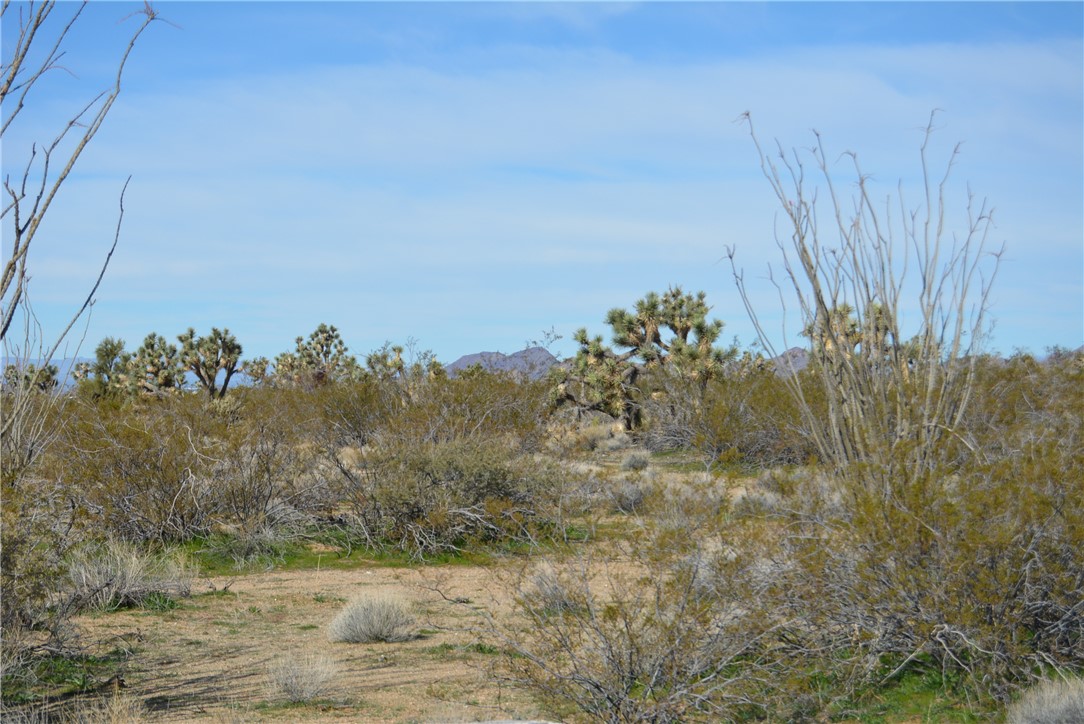 Lot 3 Bush Road Yucca, AZ 86438 - Photo 64 of 82 View of nature