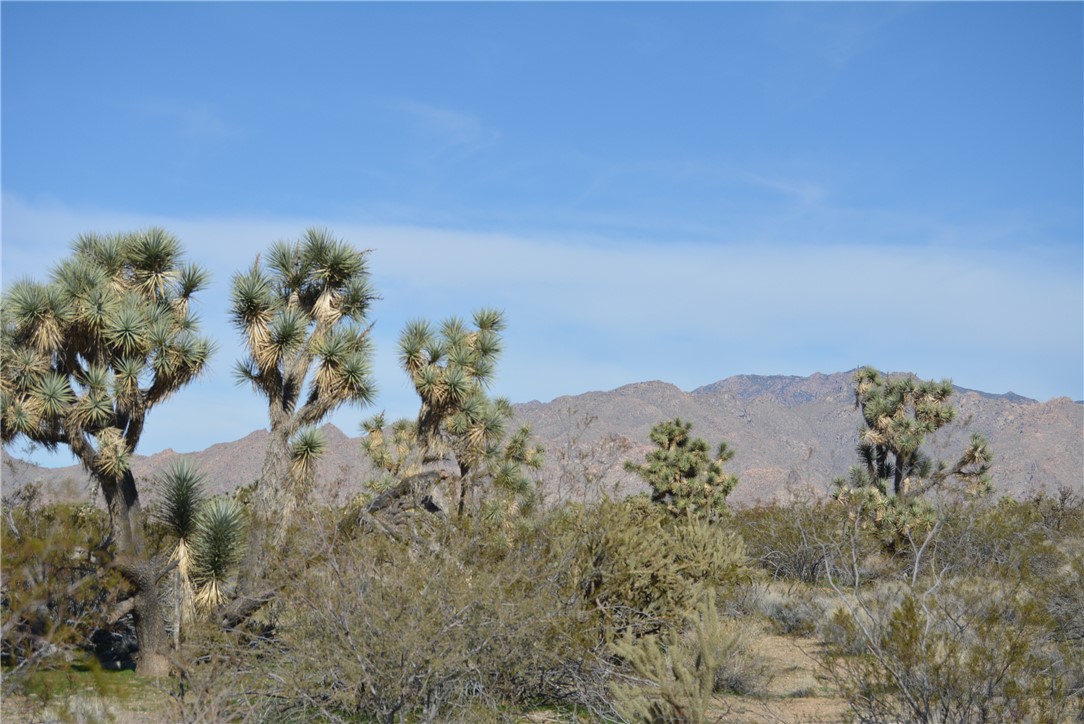 Lot 3 Bush Road Yucca, AZ 86438 - Photo 65 of 82 Mountain view