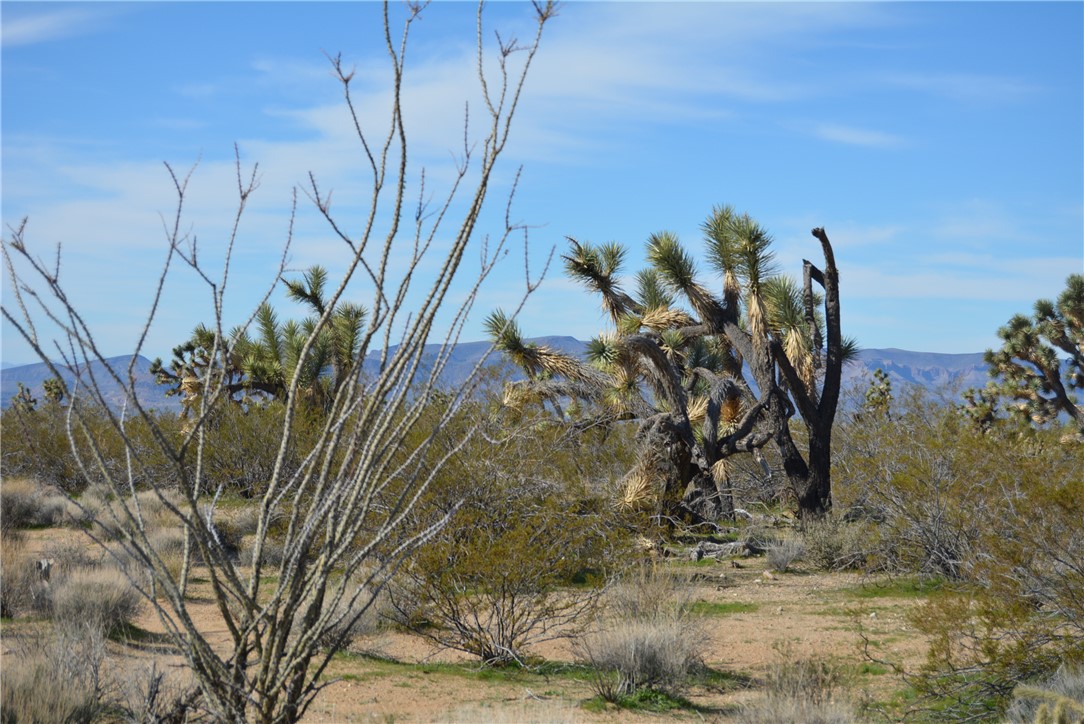 Lot 3 Bush Road Yucca, AZ 86438 - Photo 67 of 82 Mountain view
