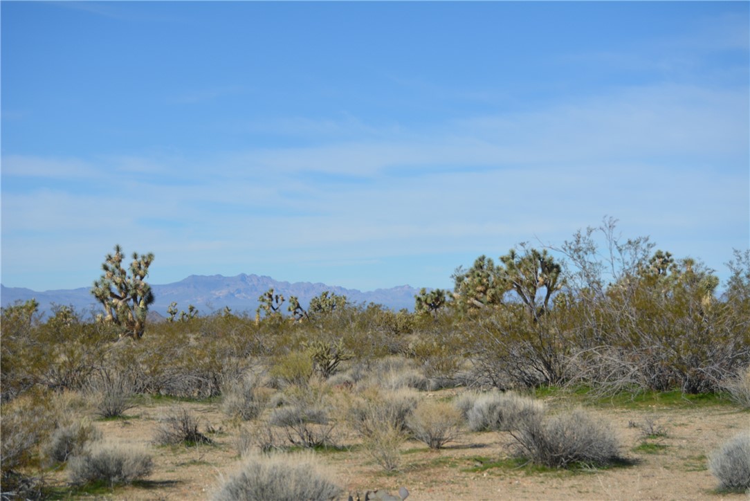 Lot 3 Bush Road Yucca, AZ 86438 - Photo 69 of 82 View of mountain background