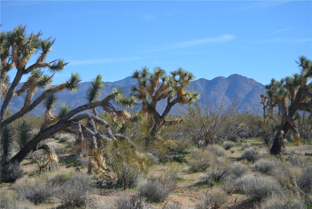 Lot 3 Bush Road Yucca, AZ 86438 - Photo 74 of 82 View of mountain backdrop