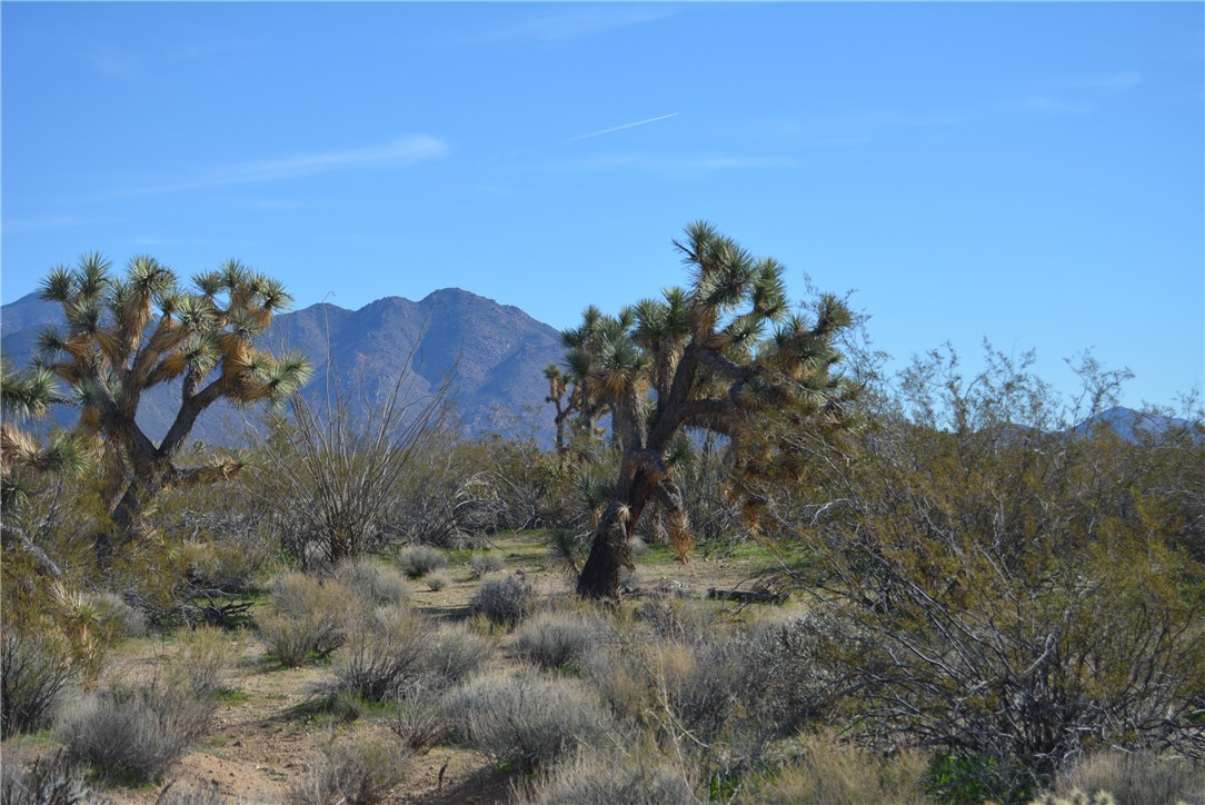 Lot 3 Bush Road Yucca, AZ 86438 - Photo 75 of 82 View of mountain backdrop
