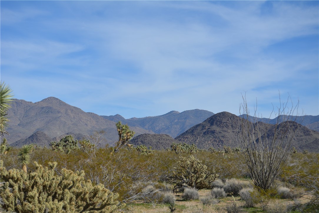 Lot 3 Bush Road Yucca, AZ 86438 - Photo 9 of 82 View of mountain backdrop
