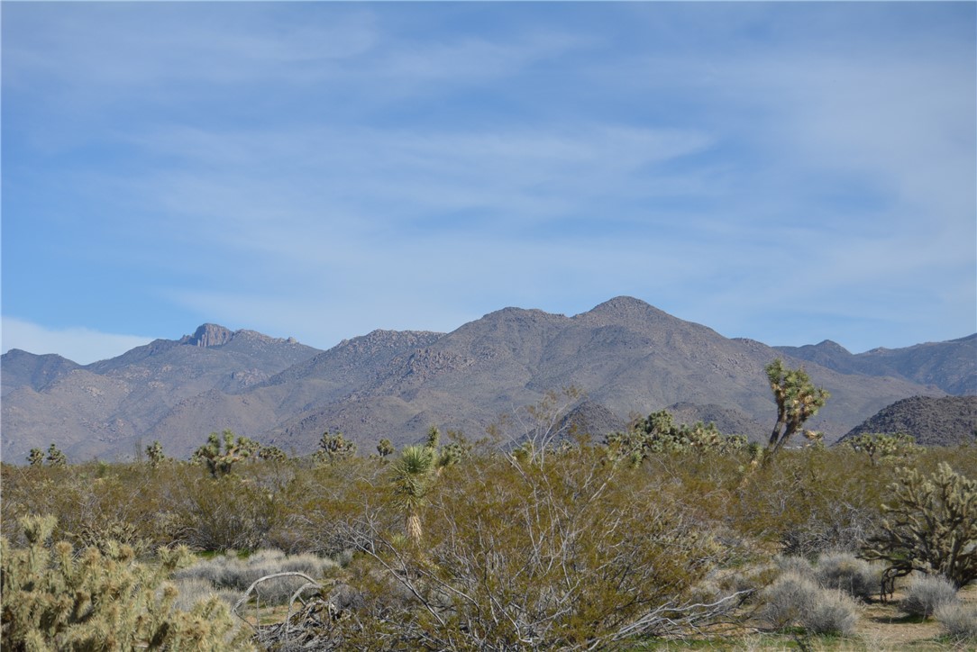 Lot 3 Bush Road Yucca, AZ 86438 - Photo 10 of 82 View of mountain backdrop