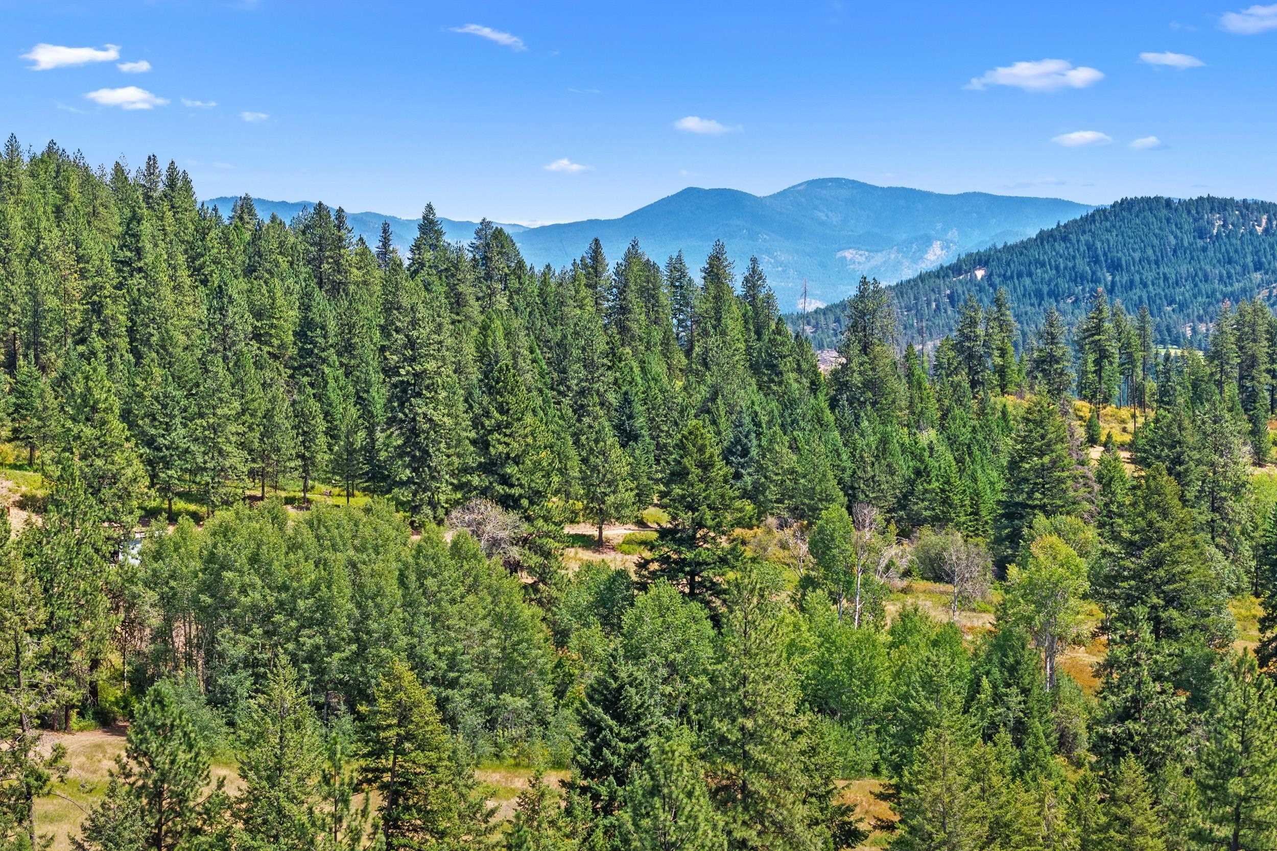 Nna Dry Creek Road, Unit LOT 1 Chewelah, WA 99109 - Photo 11 of 27