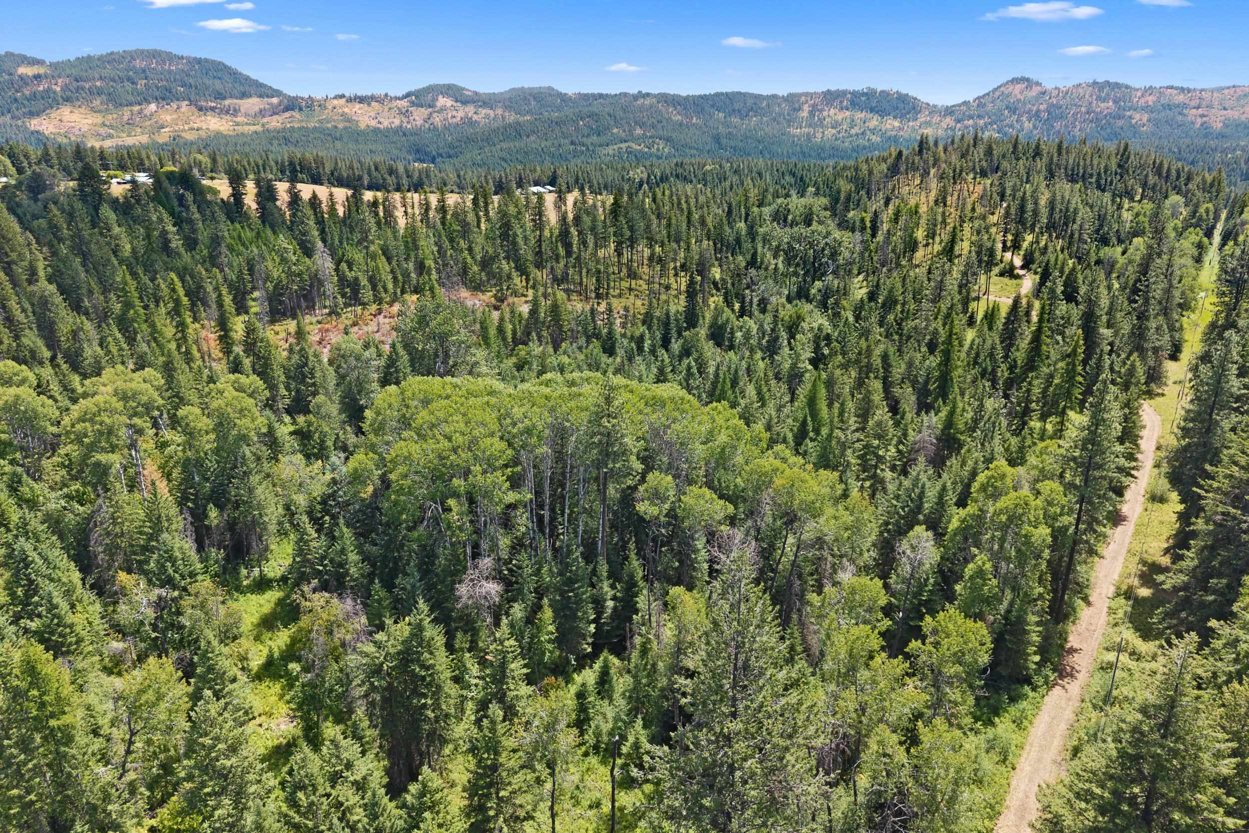 Nna Dry Creek Road, Unit LOT 1 Chewelah, WA 99109 - Photo 13 of 27
