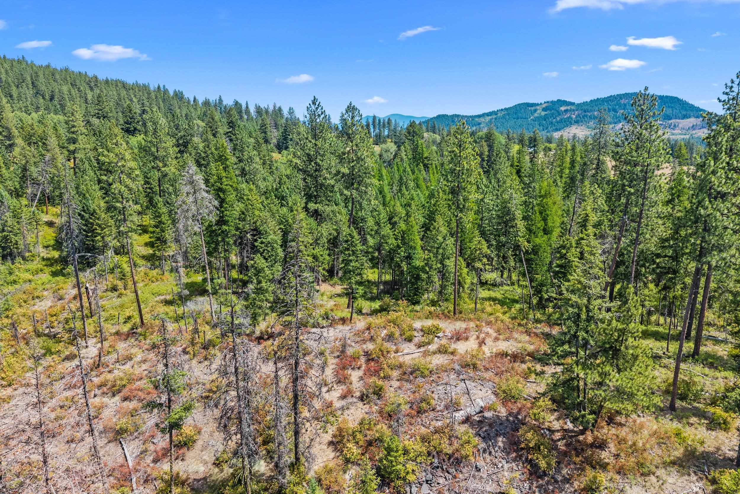 Nna Dry Creek Road, Unit LOT 1 Chewelah, WA 99109 - Photo 14 of 27