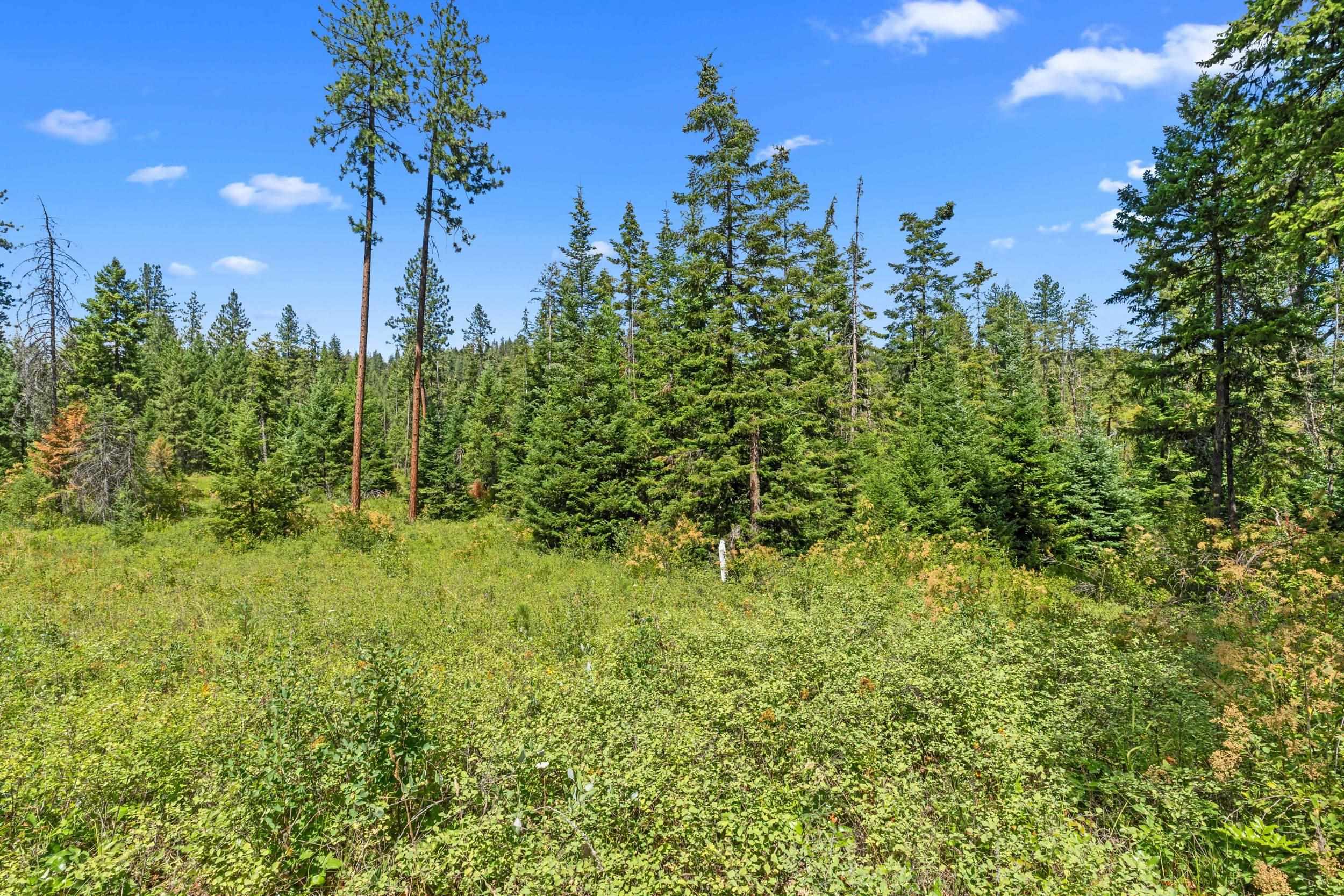 Nna Dry Creek Road, Unit LOT 1 Chewelah, WA 99109 - Photo 15 of 27
