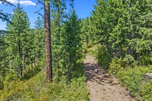 $200,000 | Nna Dry Creek Road, Unit LOT 1, Chewelah, WA 99109