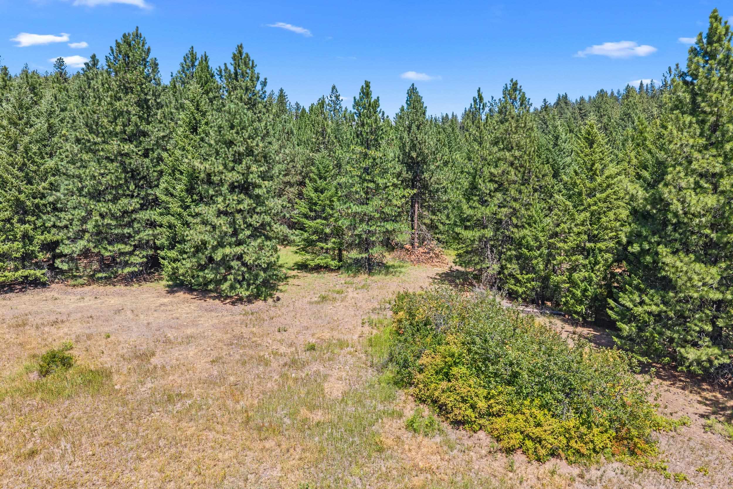 Nna Dry Creek Road, Unit LOT 1 Chewelah, WA 99109 - Photo 18 of 27
