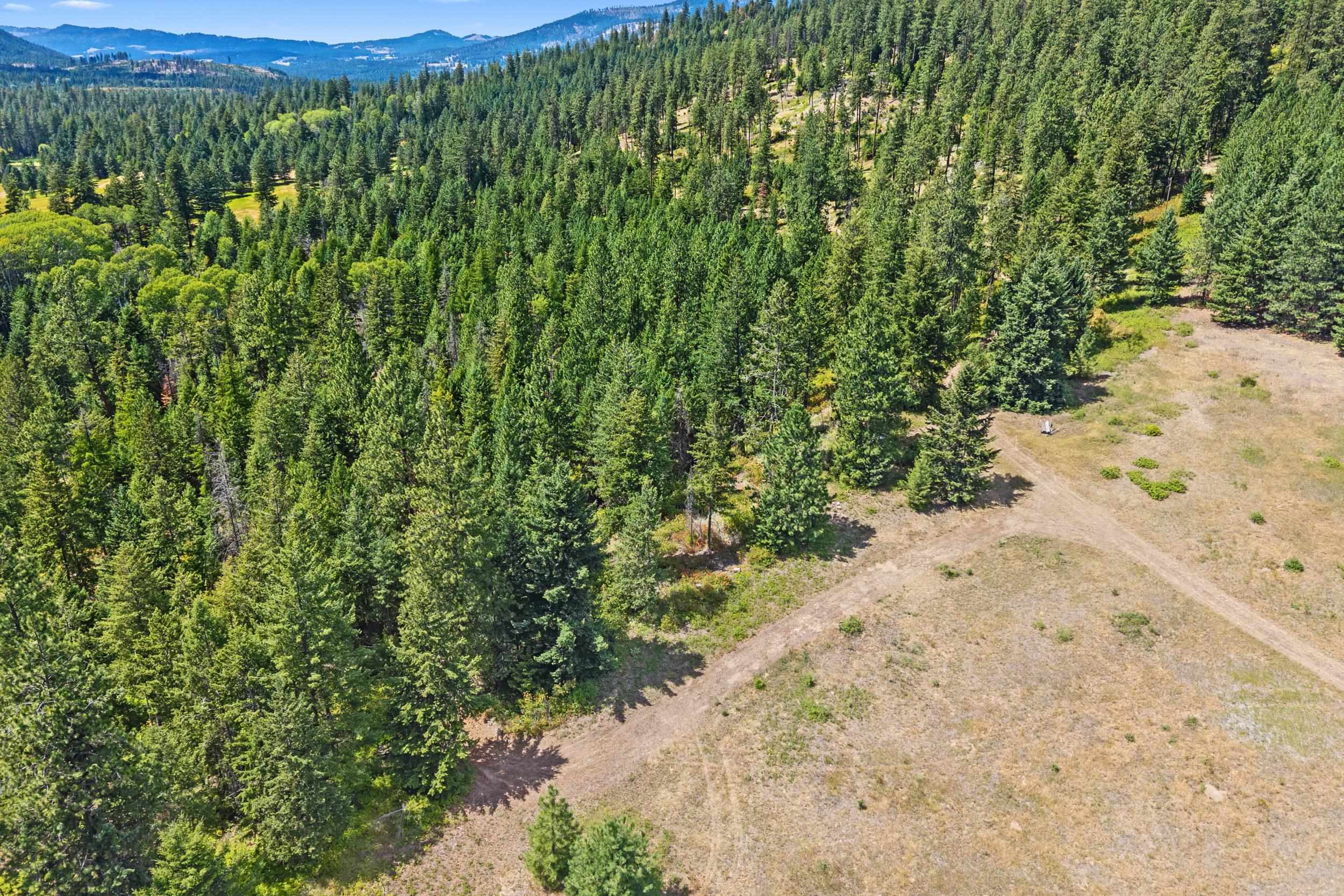Nna Dry Creek Road, Unit LOT 1 Chewelah, WA 99109 - Photo 19 of 27
