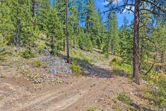 $200,000 | Nna Dry Creek Road, Unit LOT 1, Chewelah, WA 99109
