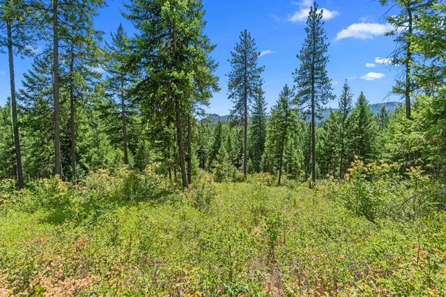 $200,000 | Nna Dry Creek Road, Unit LOT 1, Chewelah, WA 99109