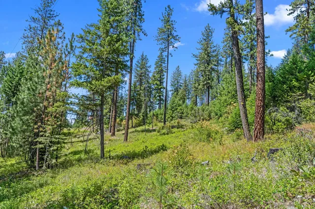 $200,000 | Nna Dry Creek Road, Unit LOT 1, Chewelah, WA 99109