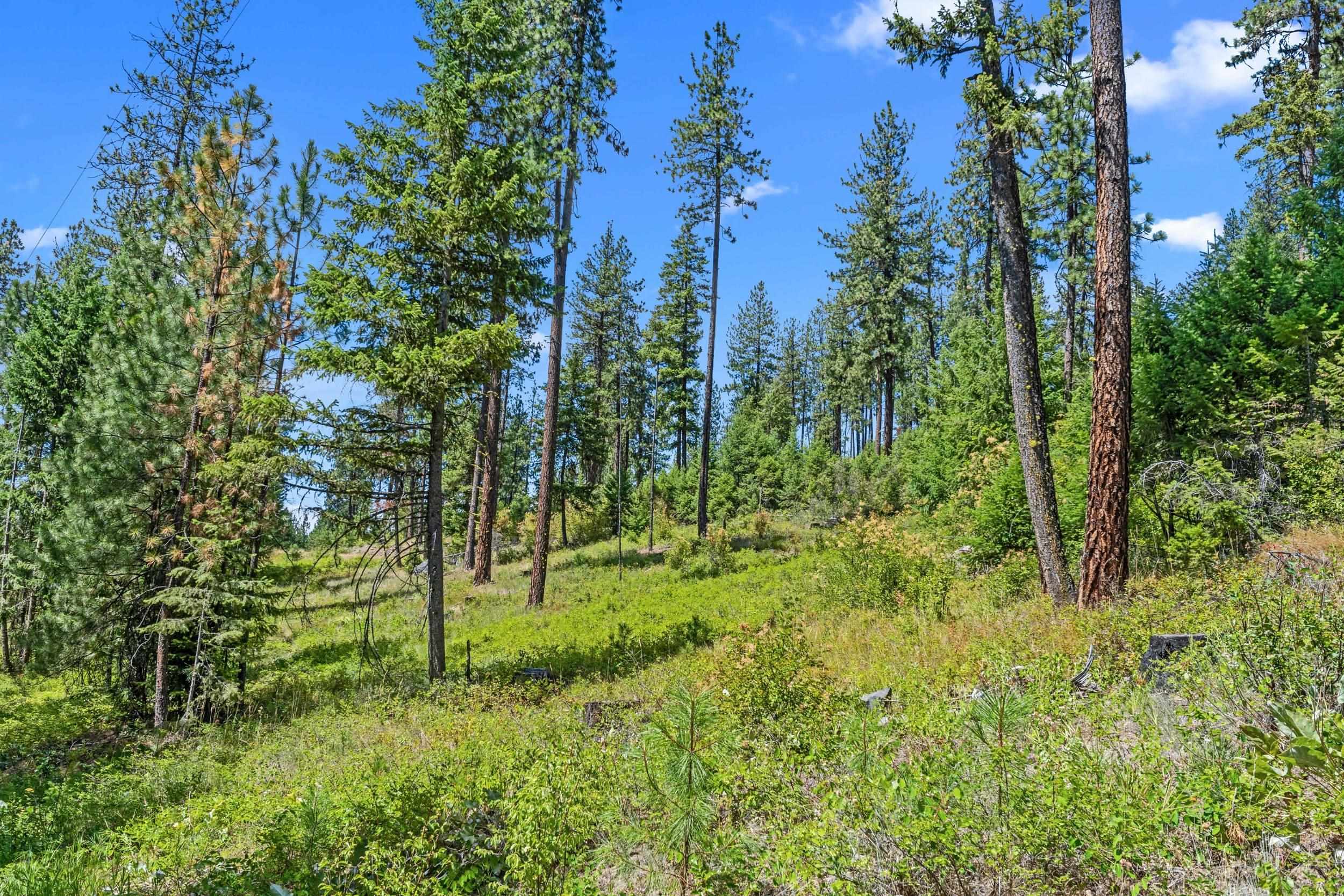 Nna Dry Creek Road, Unit LOT 1 Chewelah, WA 99109 - Photo 22 of 27
