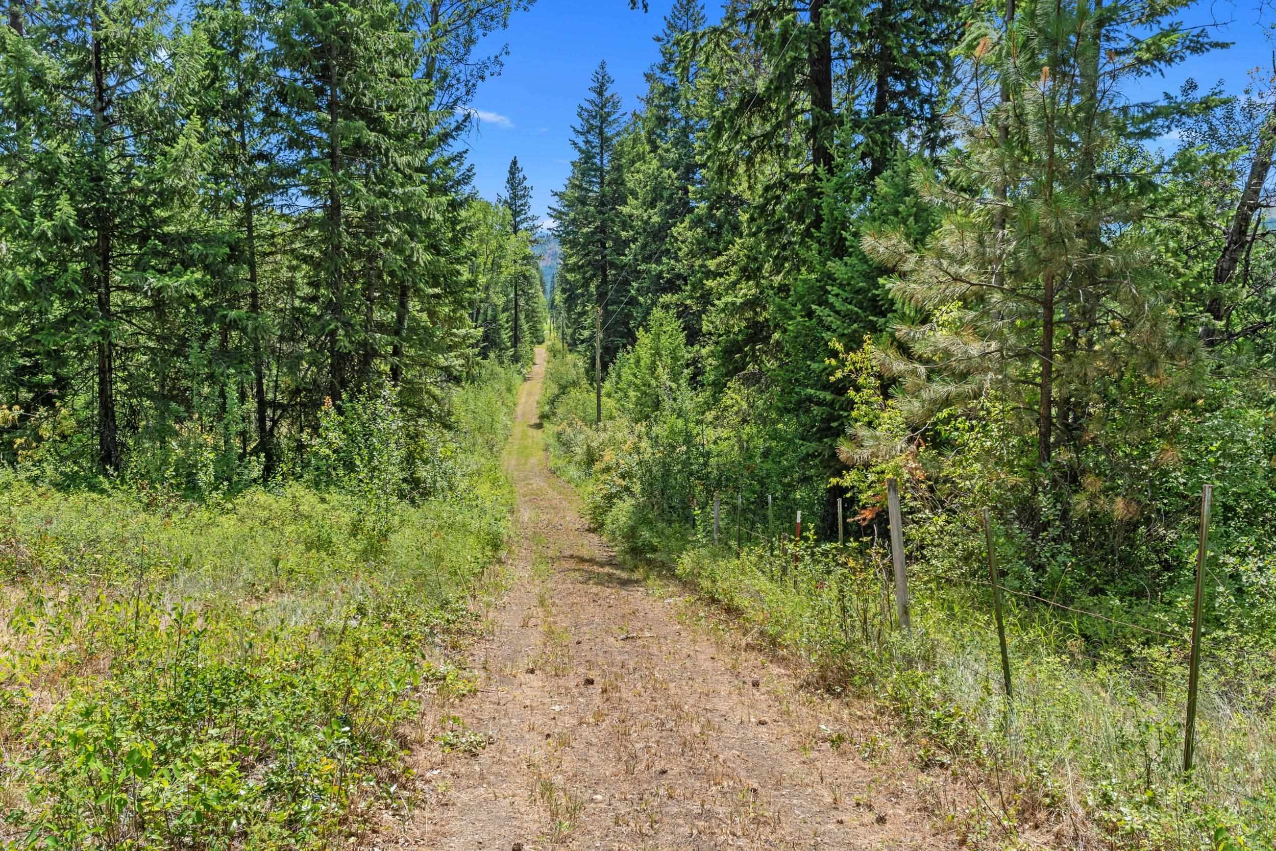 Nna Dry Creek Road, Unit LOT 1 Chewelah, WA 99109 - Photo 23 of 27