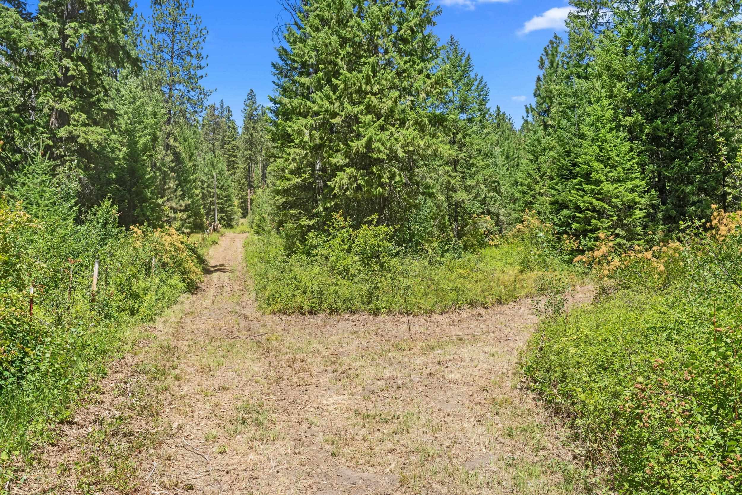 Nna Dry Creek Road, Unit LOT 1 Chewelah, WA 99109 - Photo 24 of 27