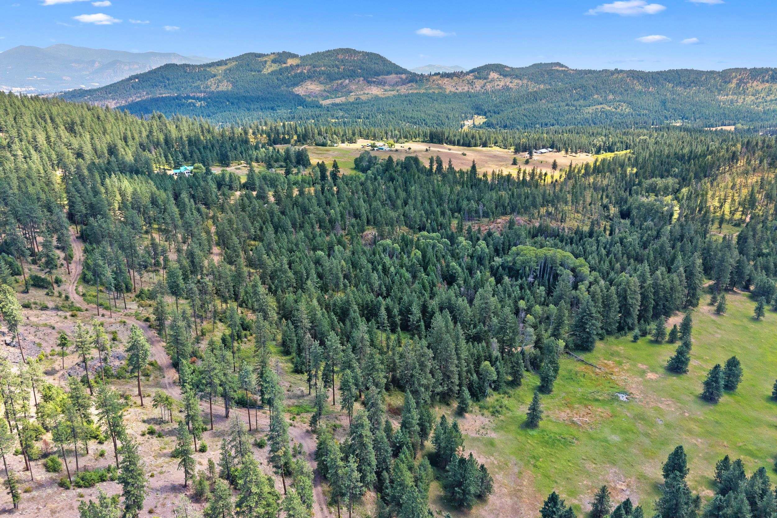 Nna Dry Creek Road, Unit LOT 1 Chewelah, WA 99109 - Photo 27 of 27