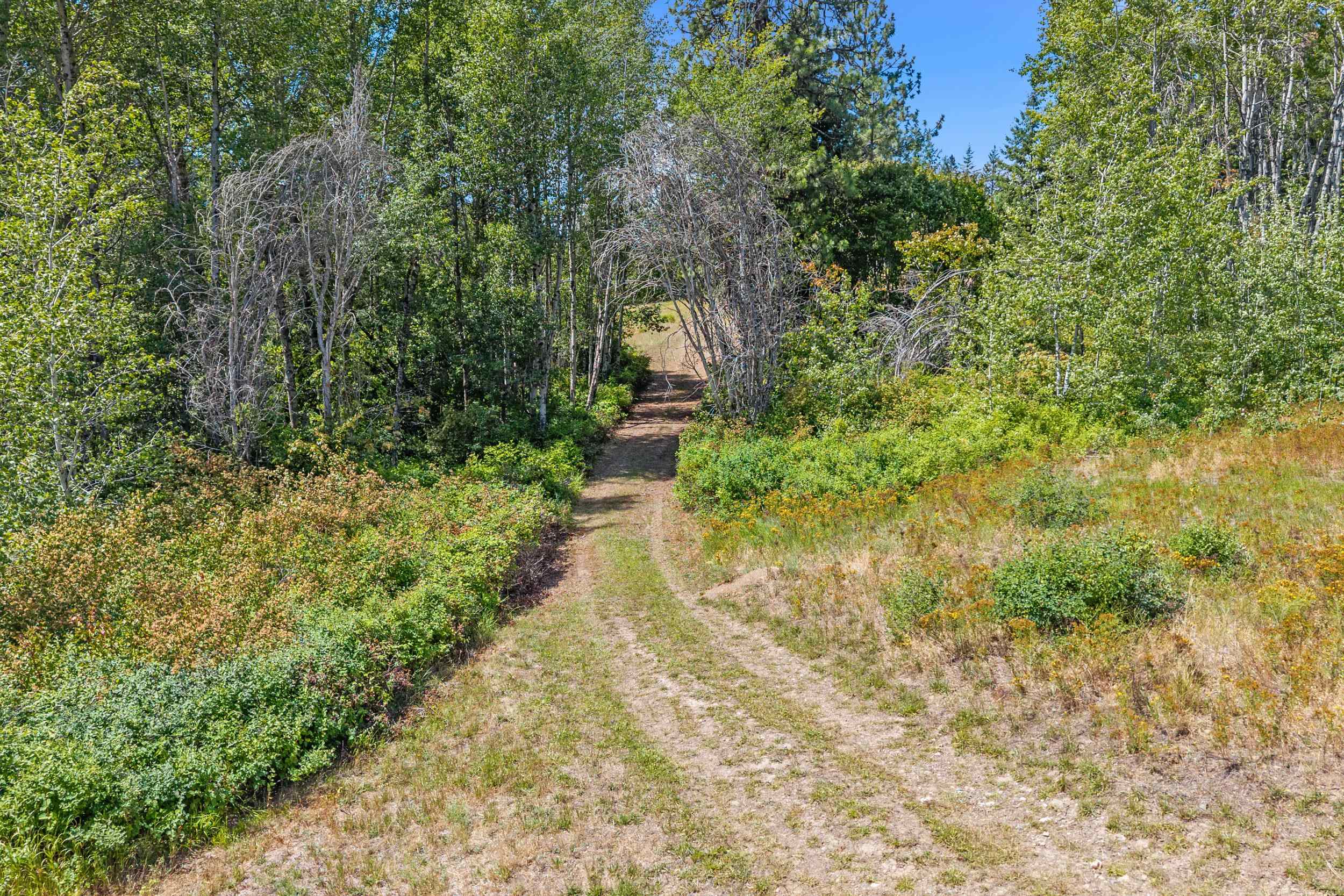 Nna Dry Creek Road, Unit LOT 1 Chewelah, WA 99109 - Photo 3 of 27