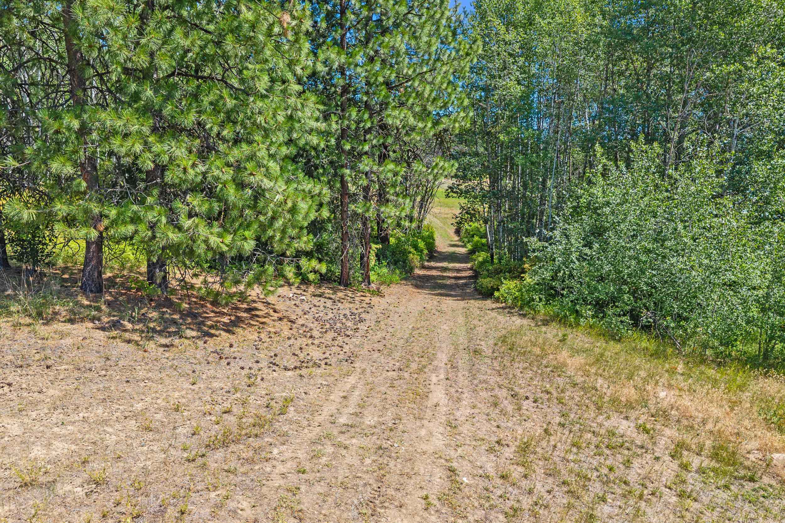 Nna Dry Creek Road, Unit LOT 1 Chewelah, WA 99109 - Photo 4 of 27