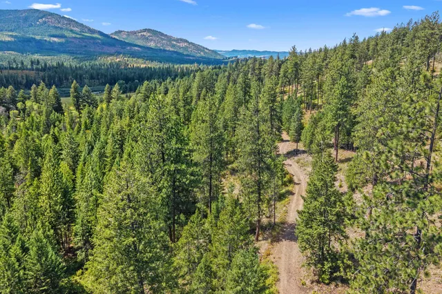 $200,000 | Nna Dry Creek Road, Unit LOT 1, Chewelah, WA 99109